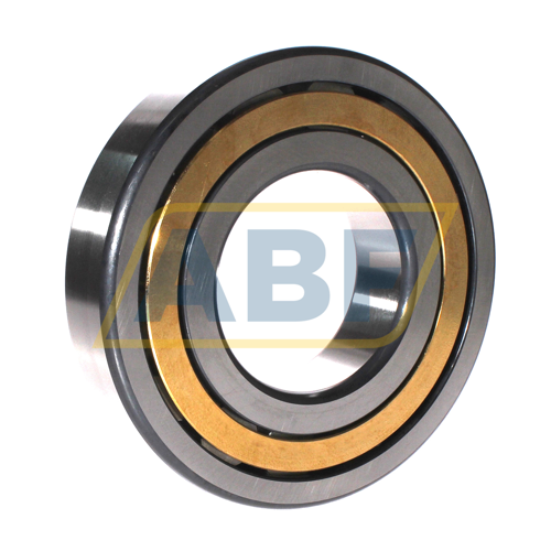 NJ317-E-XL-M1-C4 FAG