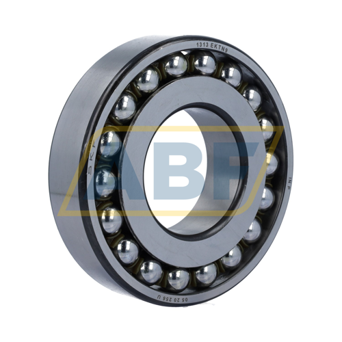 1313EKTN9 SKF