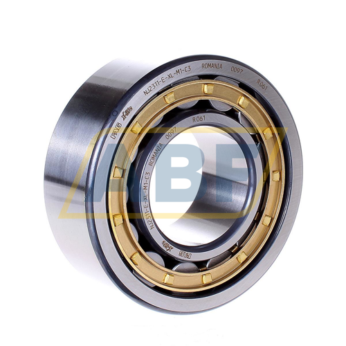 NJ2311-E-XL-M1-C3 FAG