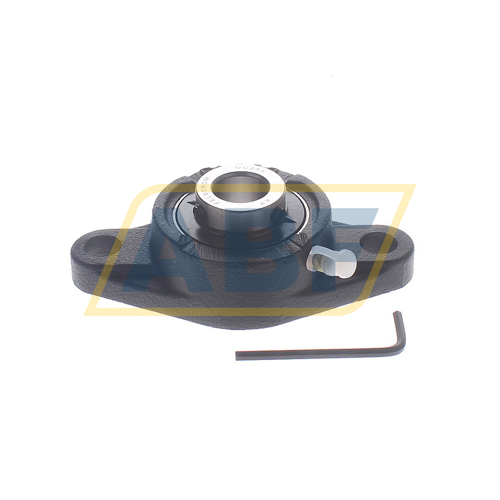 UCFL203 Felstrom