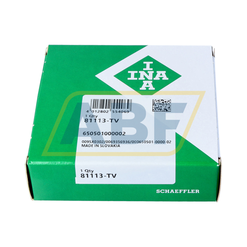 81113-TV INA
