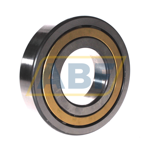 NUP314-E-M1-F1-C3 FAG