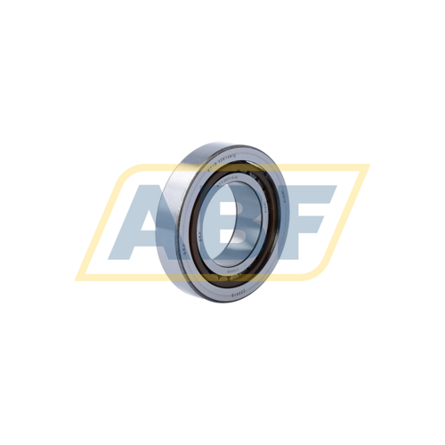 BT1-0017A/Q SKF