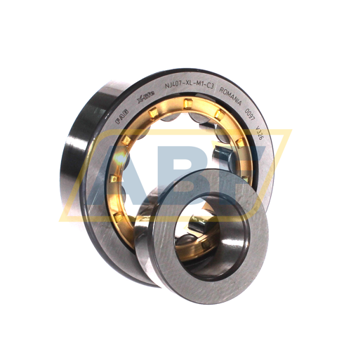 NJ407-XL-M1-C3 FAG