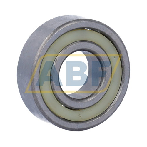 6202TNP6 SKF
