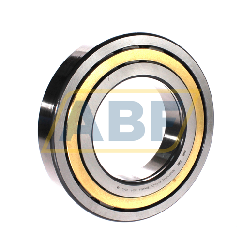 NUP221-E-XL-M1-F1-C3 FAG