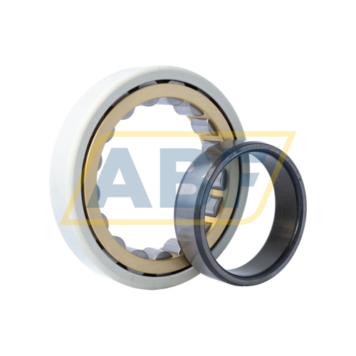 NU219-E-XL-M1-F1-J20AA-C3 FAG