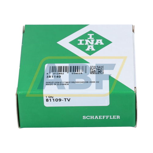 81109-TV INA