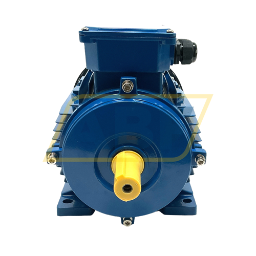 IE1-MSE112L-4-B3 Cemer