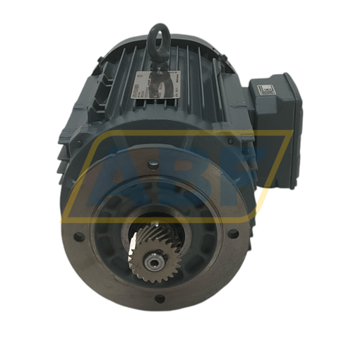 DRN100L4/FG SEW-EURODRIVE