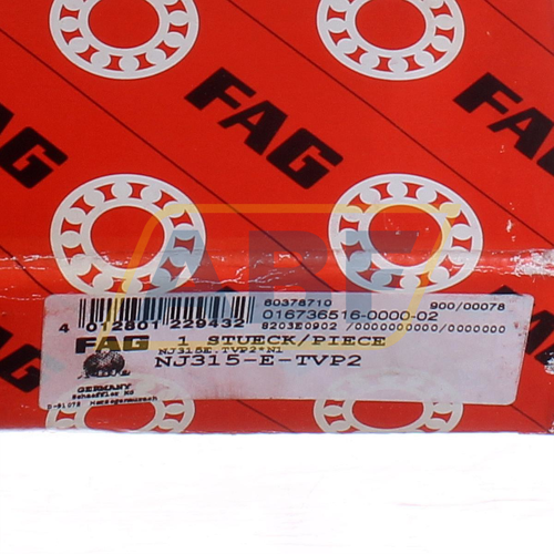 NJ315E.TVP2 FAG
