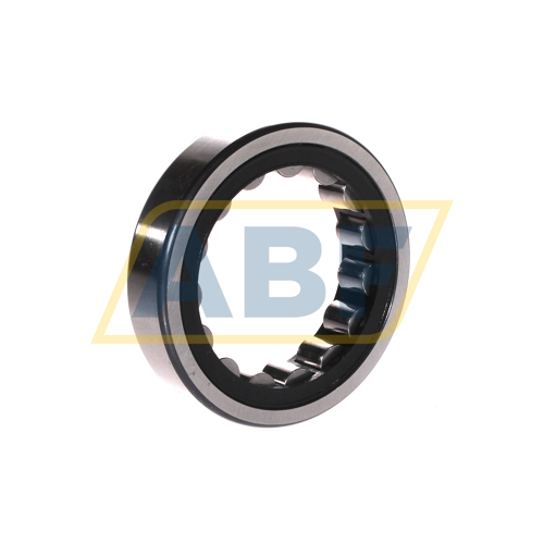 RNU209-E-XL-TVP2 FAG