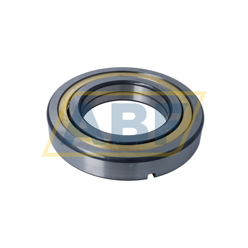 QJ226-N2-MPA-F59-C4 FAG