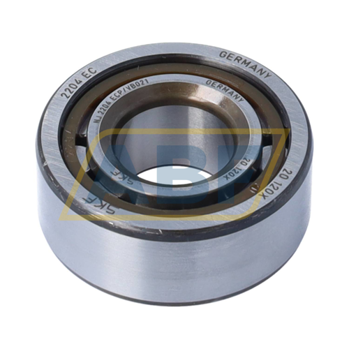 NJ2204ECP/VB021 SKF