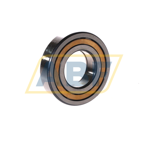 NUP207-E-XL-M1-C3 FAG