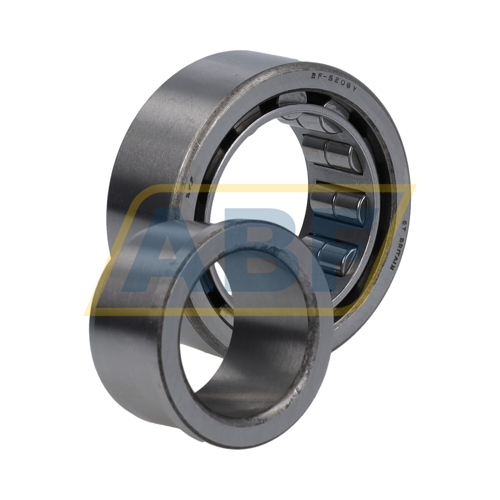 2F-R5206YS SKF