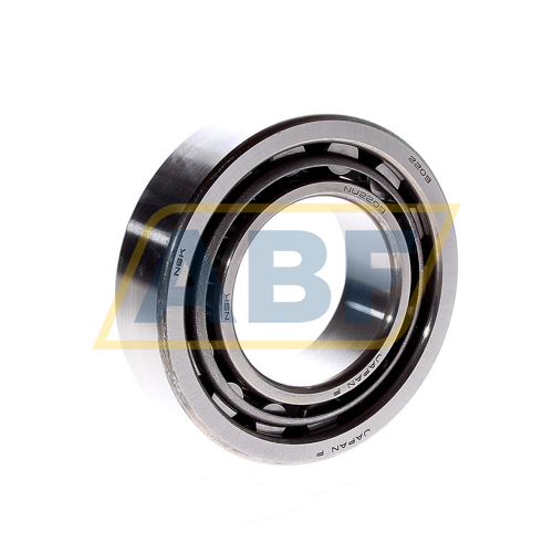 NU2209W NSK