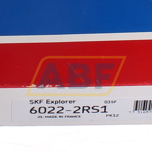 6022-2RS1 SKF