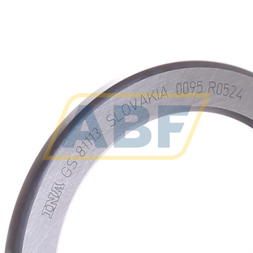 GS81113 INA