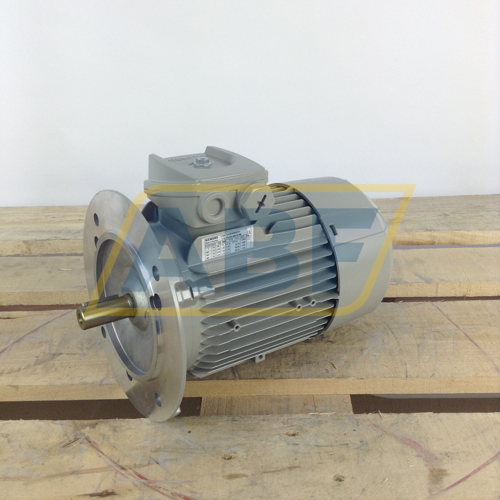 1LE1001-0DB202FA4 Siemens