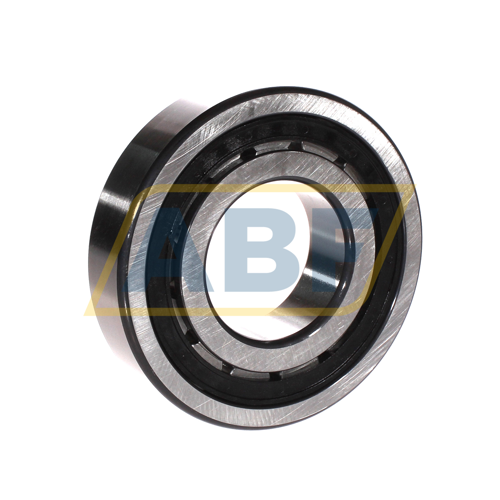 NJ311-E-XL-TVP2-QP51-C4 FAG