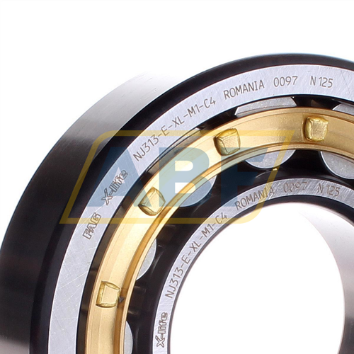 NJ313-E-XL-M1-C4 FAG