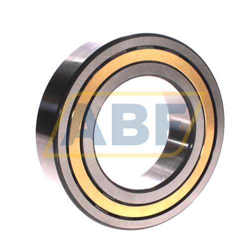 NJ2217-E-XL-M1-C3 FAG