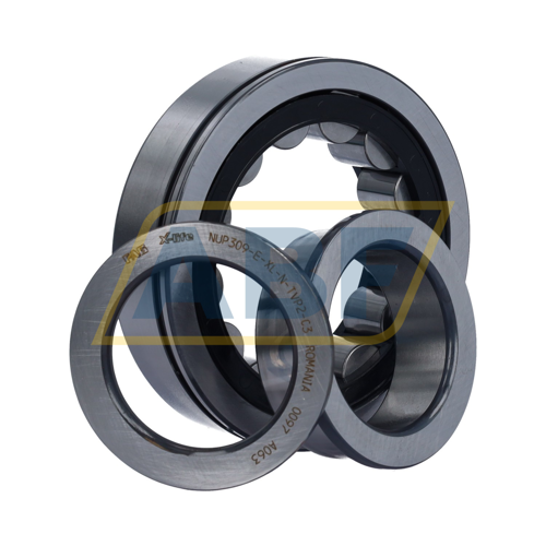 NUP309-E-XL-N-TVP2-C3 FAG