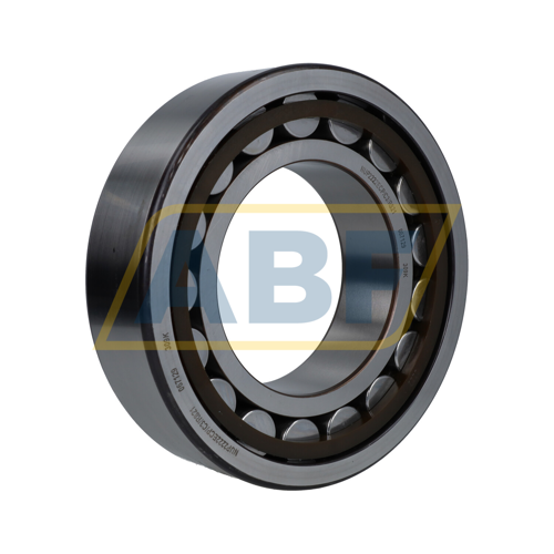 NUP2222ECP/C3/R821 SKF