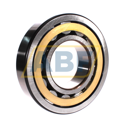 NJ320ECM/C4VA301 SKF