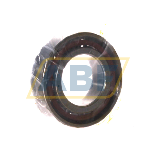 B7005-E-T-P4S-UM FAG