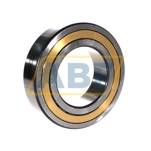 NJ2220-E-XL-M1A-QP51-C3 FAG