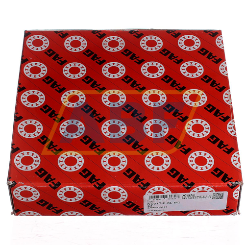 NU317-E-XL-M1-C3 FAG