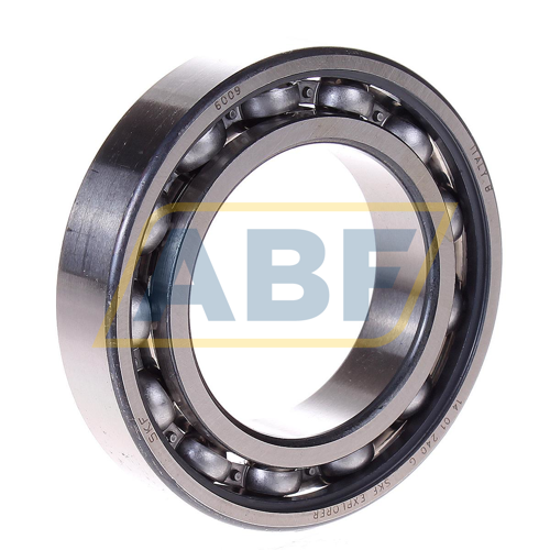 6009 SKF