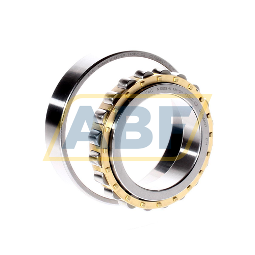 N1009-K-M1-SP-T50EC-C2 FAG