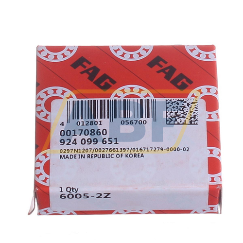 6005-2Z FAG