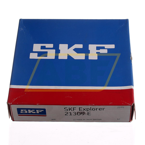 21309E SKF