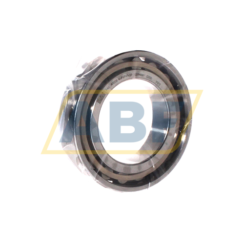 N1008-K-PVPA1-SP FAG