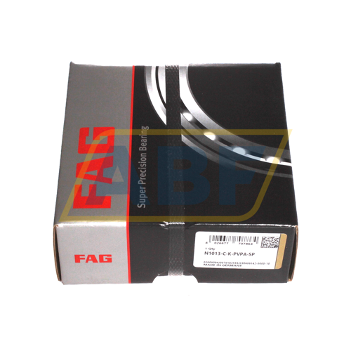 N1013-C-K-PVPA-SP FAG