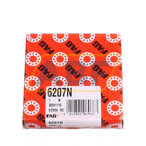 6207N FAG