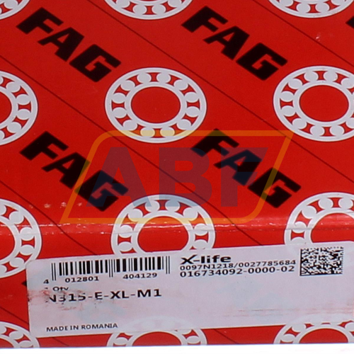 N315-E-XL-M1 FAG
