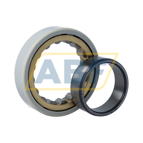 NU210-E-XL-M1-F1-J20AA-C4 FAG