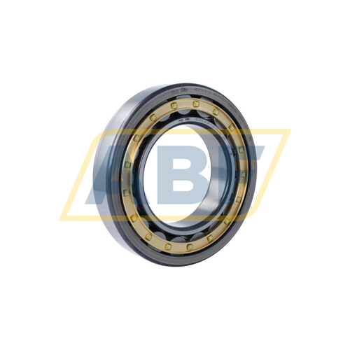 NU219-E-XL-M1-F1-C4 FAG