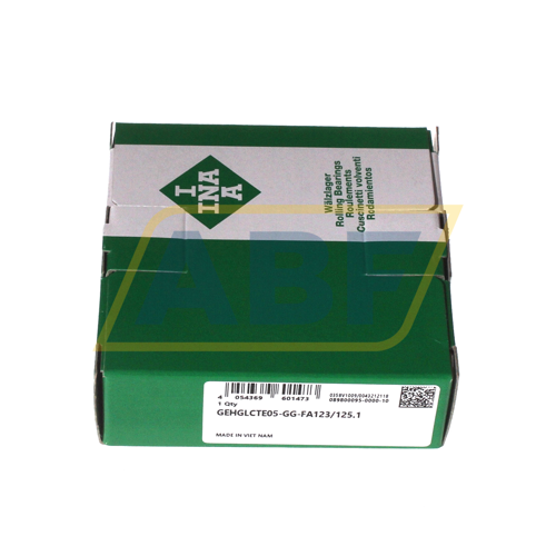 GEHGLCTE05-GG-FA123/125.1 INA