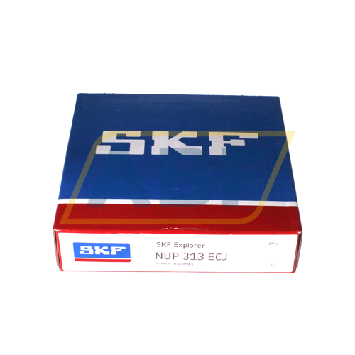 NUP313ECJ SKF