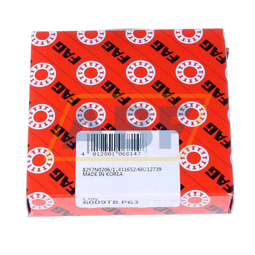6009TB.P63 FAG
