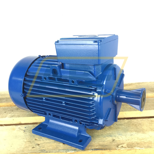 A4C1142A00016 Marelli Motori