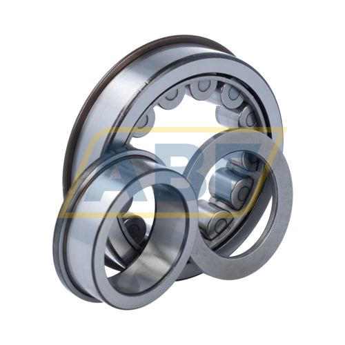 NUP309ECNRJ/C3VM004 SKF