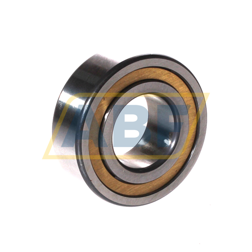 NJ2205-E-XL-M1A-C4 FAG