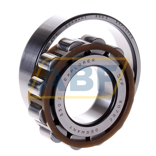 N307ECP SKF